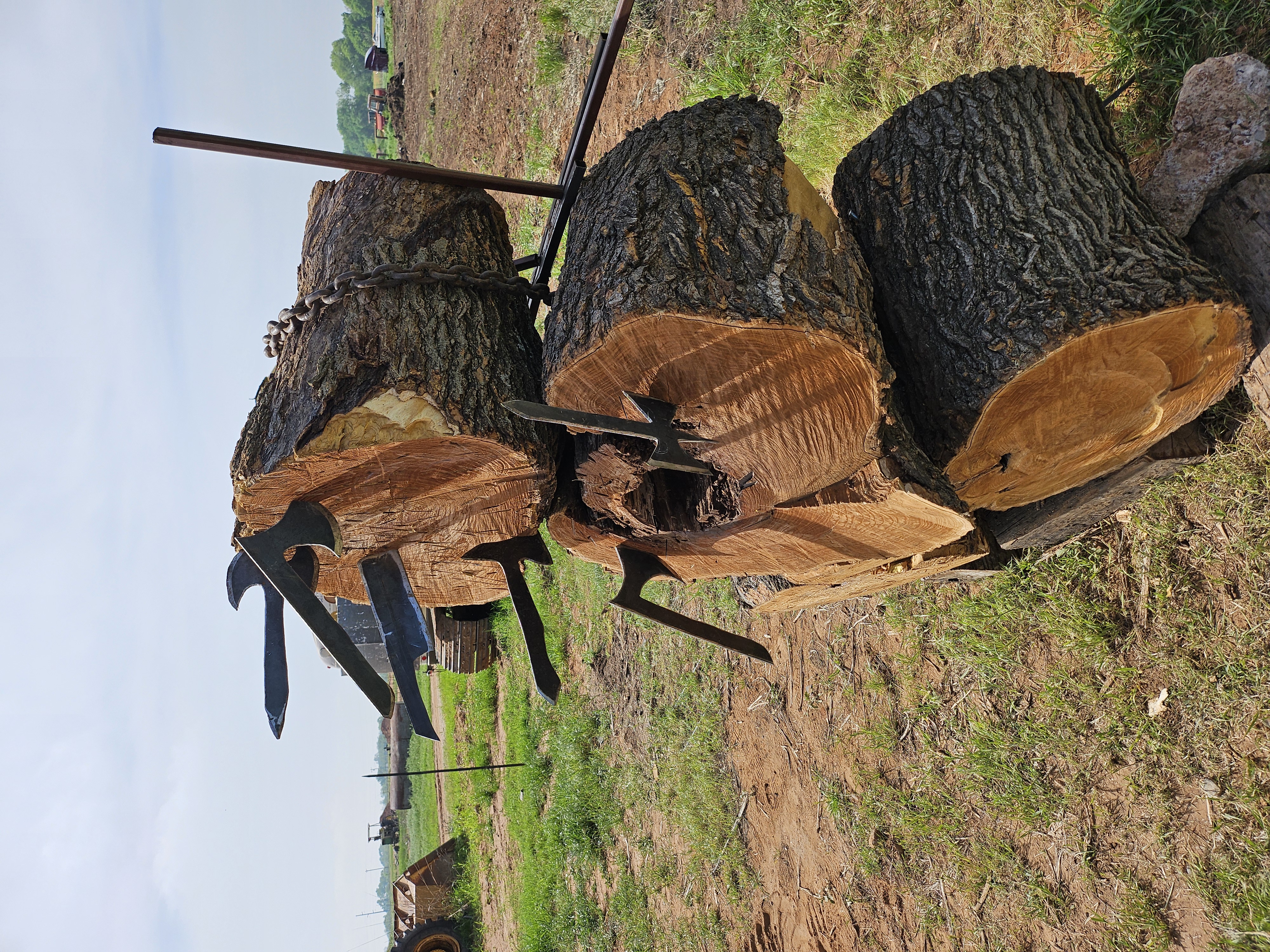 Custom Iron Works project